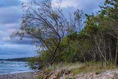 CBA球员技艺精湛，为球迷带来赛场精彩，cba篮球球员