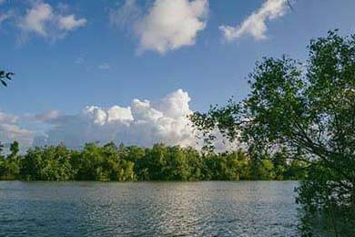 Gen.G选手伤病恢复情况通报，职业选手的伤病